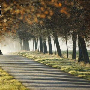 Stampa foto su pannello (100x50x2-4cm) anche con una foto unica -96