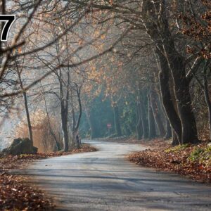 Stampa foto su pannello (100x50x2-4cm) anche con una foto unica -97