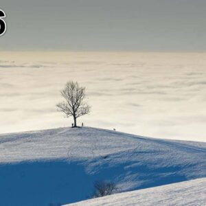 Stampa foto su pannello (100x50x2-4cm) anche con una foto unica -86